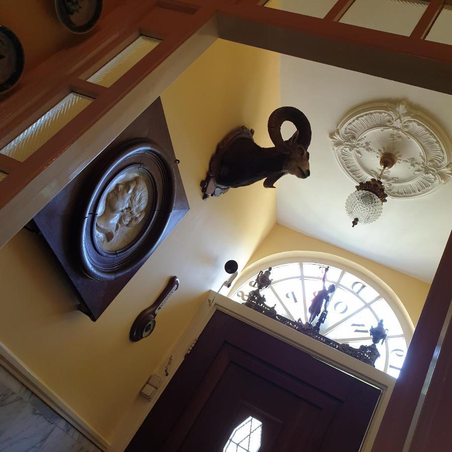 Deventer Heritage En Boutique B&B Museumhuis Huize "De Worp" Bagian luar foto
