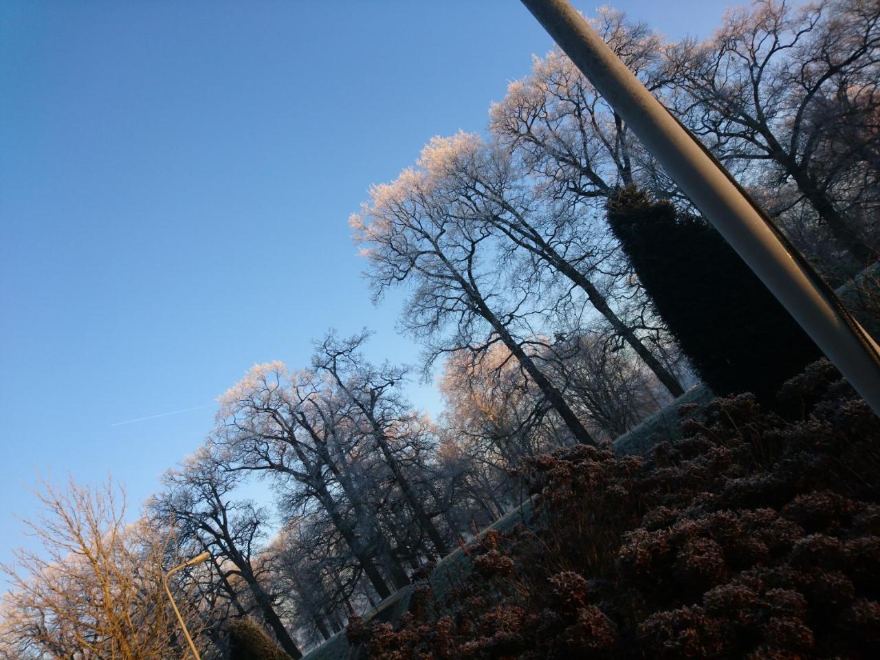 Deventer Heritage En Boutique B&B Museumhuis Huize "De Worp" Bagian luar foto